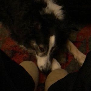 Meet your Posher, Jerry